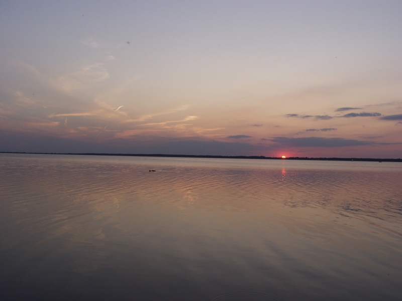Sonnenuntergang Steinhuder Meer_1 27.06.2003.jpg